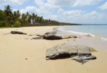 San Vicente, Palawan – Second Visit