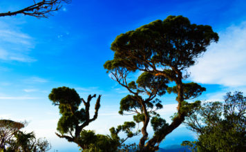 Mt. Madjaas Trek : Definitely Not For Faint-Hearted