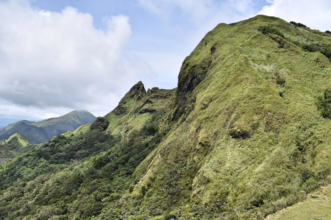 Mt. Napulak - Chill Trek - Rice and Fries