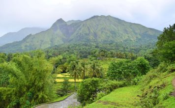 Mt. Napulak – Chill Trek