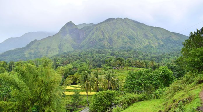 Mt. Napulak – Chill Trek