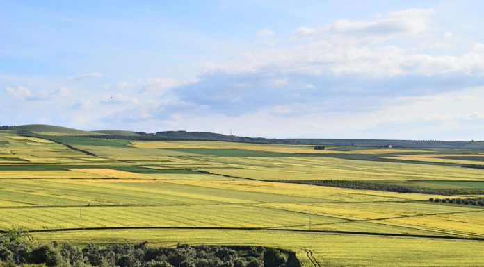 7 Days Roadtrip in Fès-Meknès Region