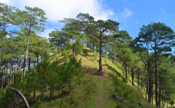Mt. Ugo –Despedida Trek