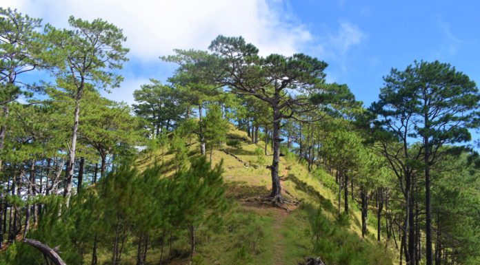 Mt. Ugo –Despedida Trek