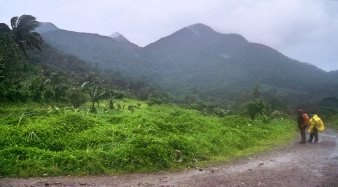 Alto Peak – There’s Always A First Time