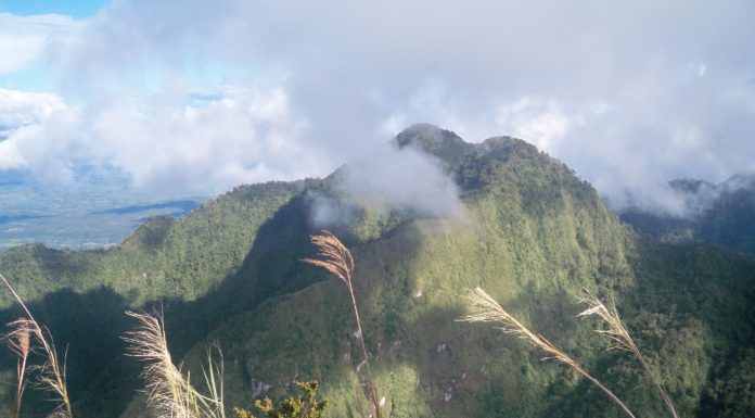 Mt. Kitanglad and Dulang-dulang Traverse
