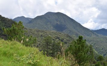 Mt. Al-al Hike