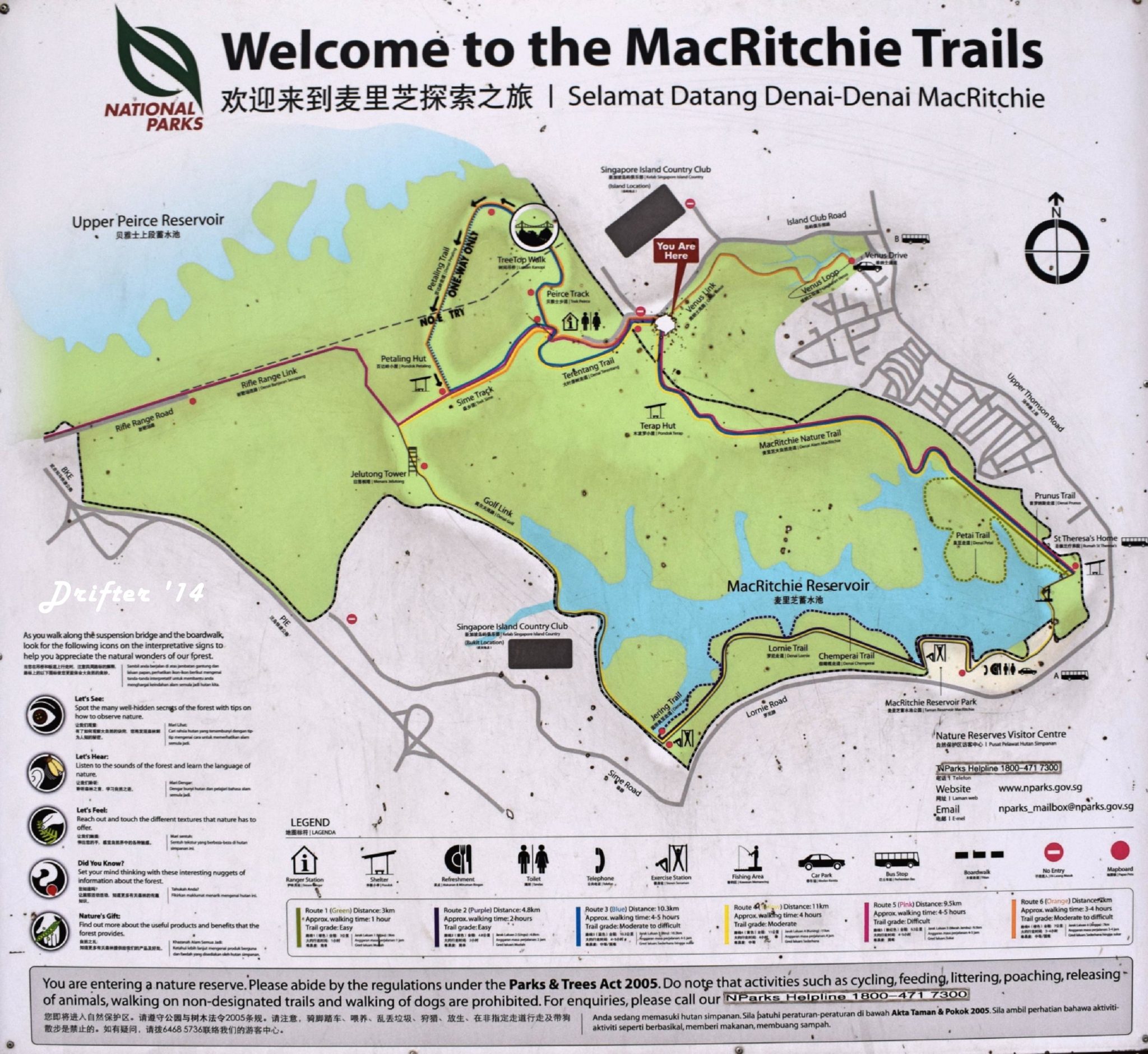 Singapore's Best Walk At MacRitchie Reservoir - Rice and Fries