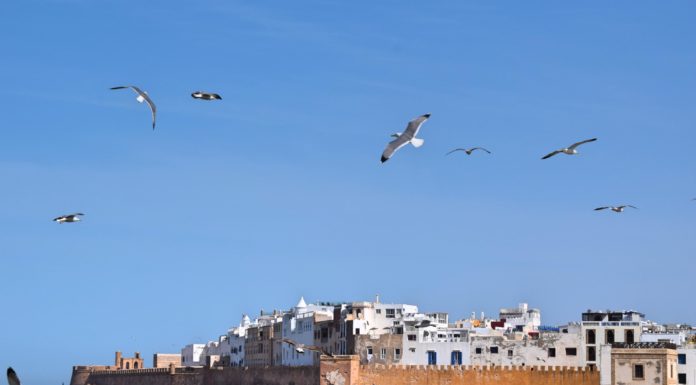 Essaouira- Morocco’s Atlantic City