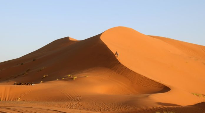 Four Days Roadtrip Chefchaouen and Merzouga