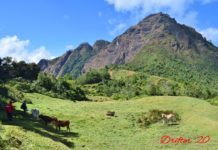 Mt. Tenglawan – Diverted Trek