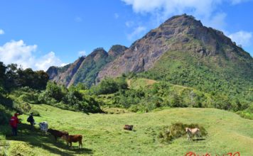 Mt. Tenglawan – Diverted Trek