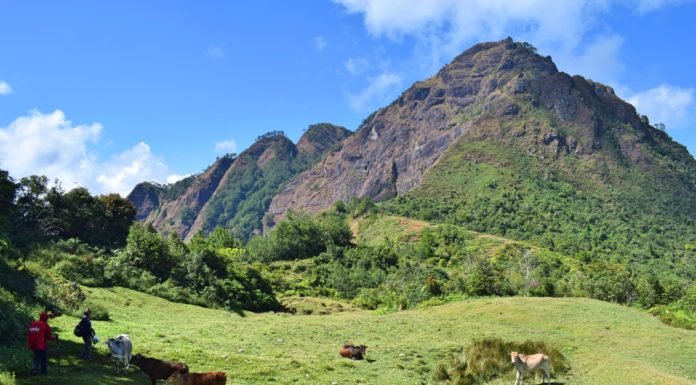 Mt. Tenglawan – Diverted Trek