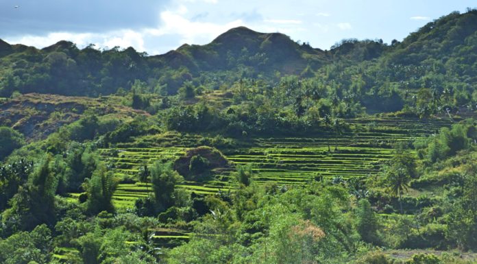 Antique Rice Terraces – Antique’s Hidden Paradise