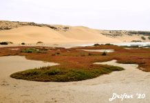 Laâyoune and Khnifiss National Park – Morocco’s Road Less Traveled