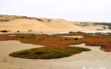 Laâyoune and Khnifiss National Park – Morocco’s Road Less Traveled