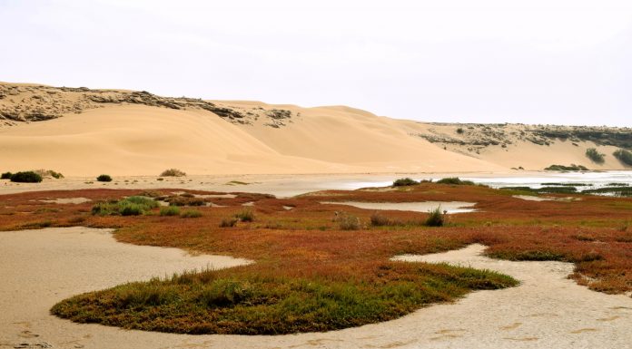 Laâyoune and Khnifiss National Park – Morocco’s Road Less Traveled