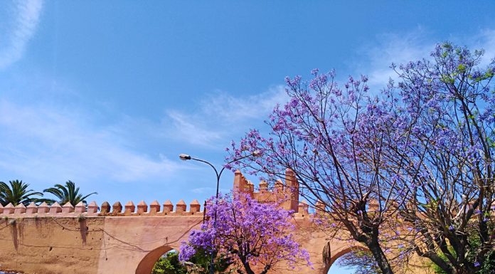 Tips In Navigating Around Morocco